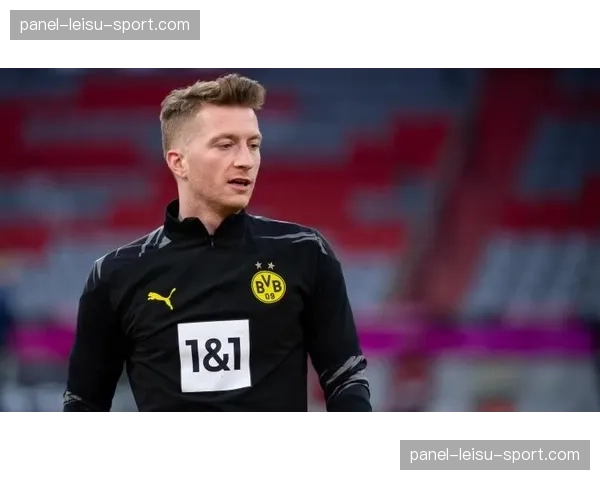 特写：老将罗伊斯替补登场，用一记助攻帮助多特抢得关键一分。